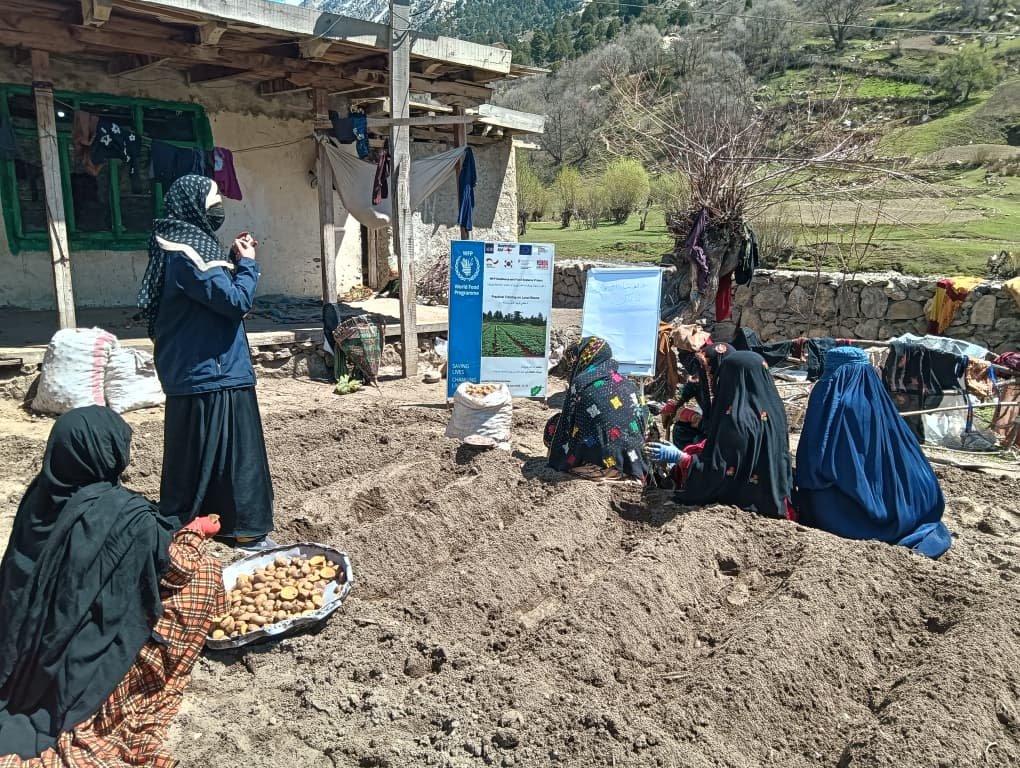 NCRO food security & agriculture activity